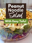 Peanut noodle salad, peanut noodle salad recipe, thai Peanut noodle salad, thai peanut noodle salad recipe, thai tofu dish, thai noodles, thai noodle dish, thai noodles with tofu, thai tofu noodles, best peanut noodle salad, best peanut noodle salad recipe, best thai noodle recipe, best thai noodles, peanut butter noodles, easy peanut noodle salad, simple peanut noodle salad, homemade peanut noodle salad, delicious peanut noodle salad, peanut noodle salad ingredients, how to make peanut noodles, how to make peanut noodle salad, peanut salad, , peanut salad recipe