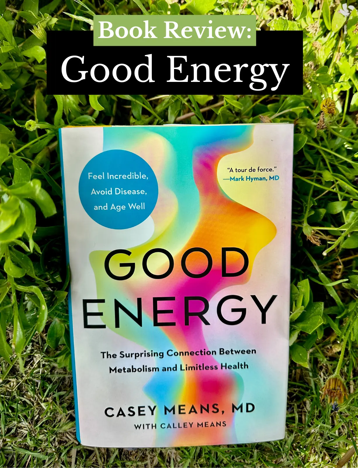 Casey Means, MD: Good Energy Book Review 2024