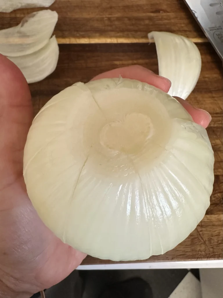 onion up close
